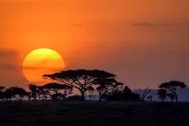 images (24) Golden sunset over Serengeti National Park during Tanzania Migration Safari with Rockhopper Africa Safaris